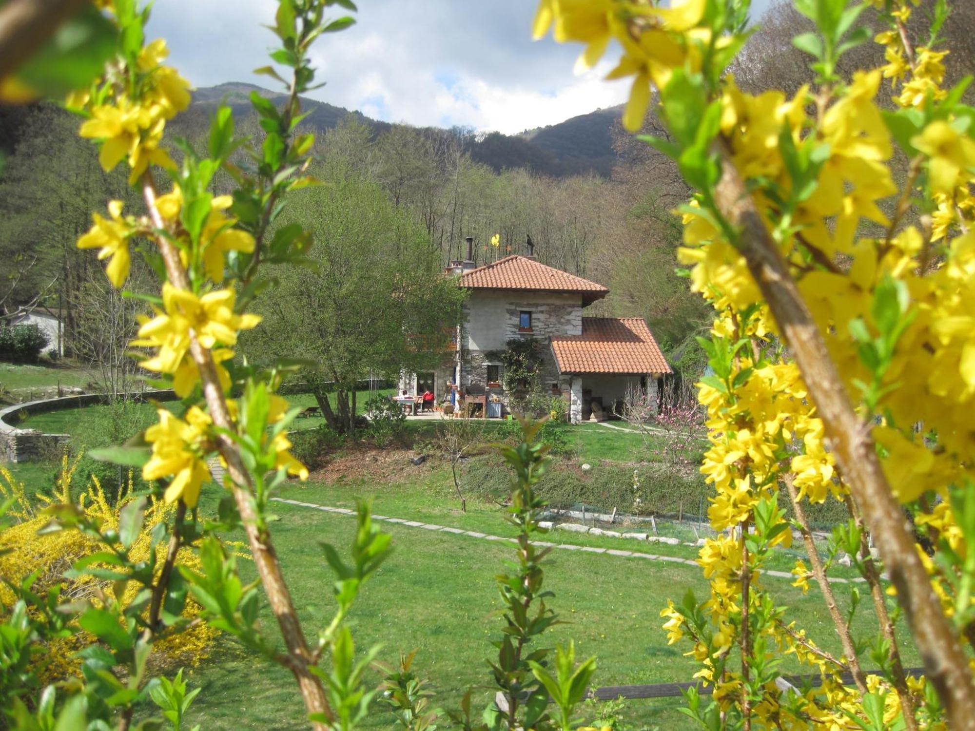 B&B Melizio San Maurizio D'opaglio Exterior photo